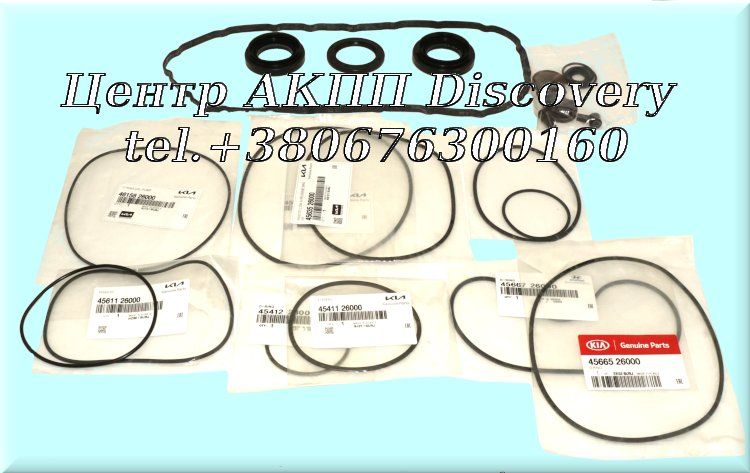 Overhaul Kit w/Piston A6GF1/2  (Transtar)