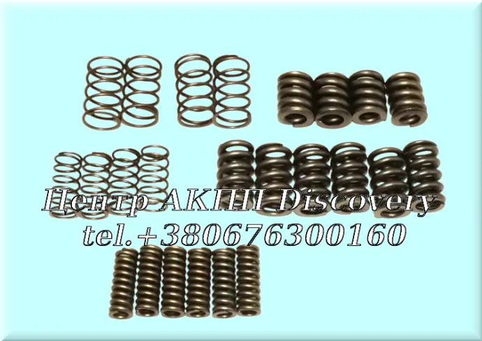 Dual Clutch Springs Ford 6DCT450 (Transtar)