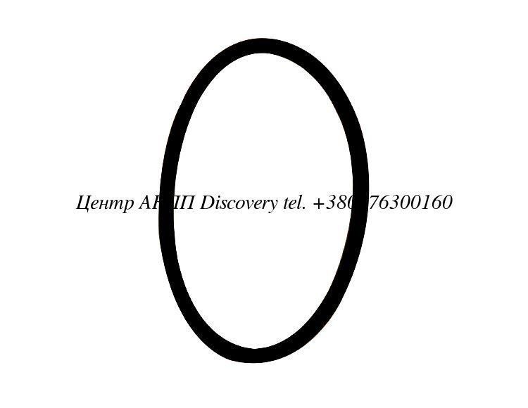 O-Ring JF506  (Tricomponent)