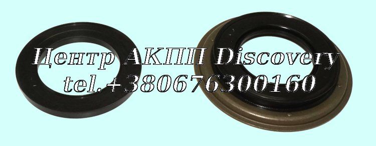 Piston Kit DSG 0B5/ DL501 (Autoline)