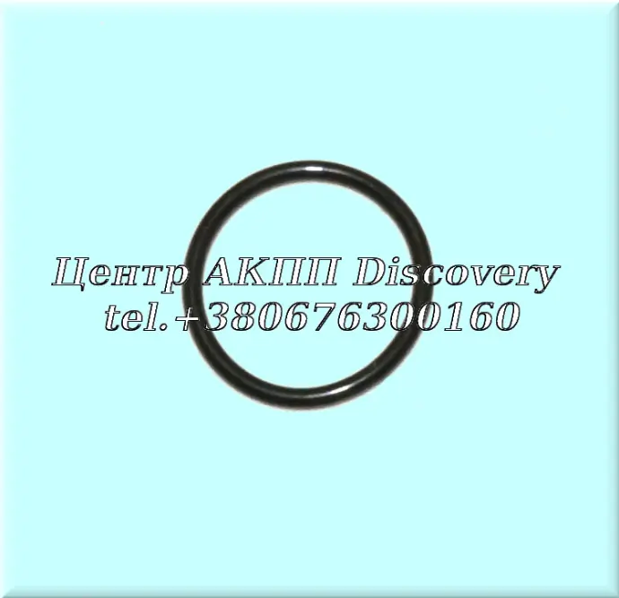 O-Ring Input Shaft JF015 (OEM)