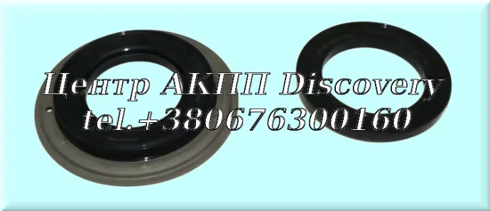 Комплект Обгумованних Поршнів DSG 0B5/ DL501 (Autoline)