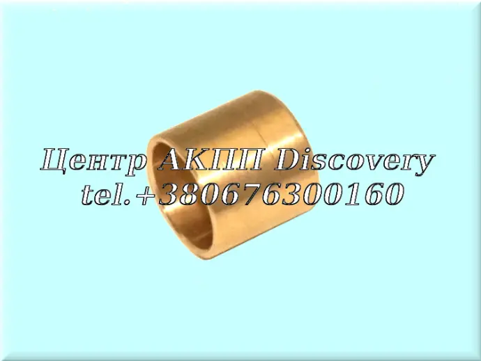 Bushing Stator Pump 6T40/6T45/6F35 (GFX)