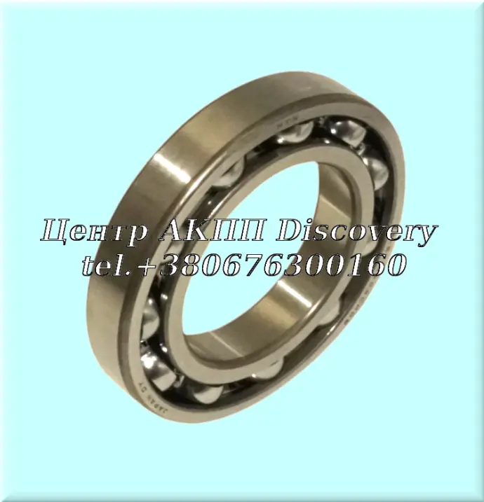 Bearing Starter Clutch TR690 (OEM)