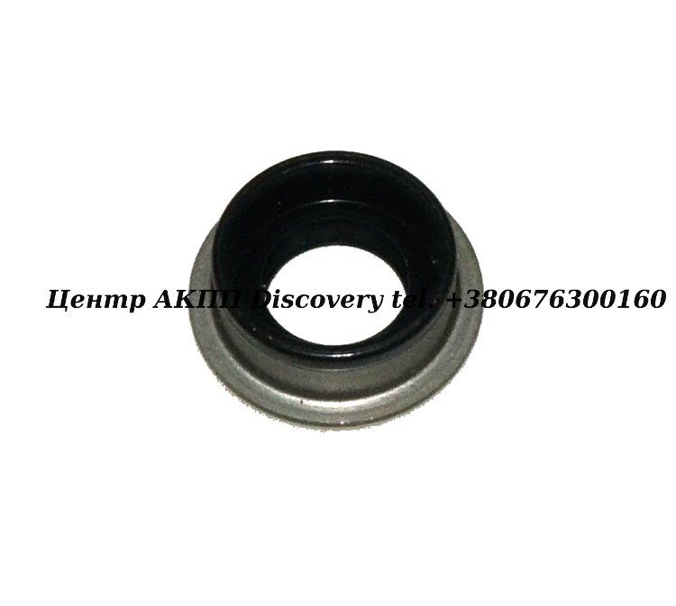 Seal, Manual Shaft 6T40/6T45/9T50/9T65 (Transtar)