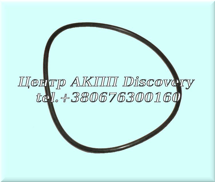 O-Ring Secondary Pump 722,3 (OEM)