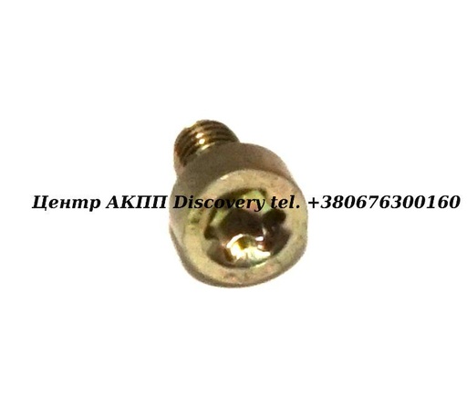 [0705763] Drain Plug TF80SC/TF81SC (OEM)