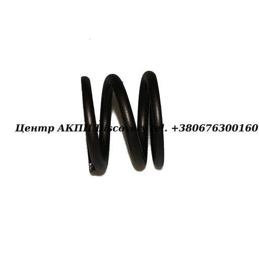 [US129737] Spring Park Gear 5HP19 (Used)