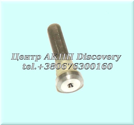 [A2212790050] Cooling Tube Filter 722.9 (OEM)