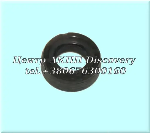 [328002/13] Seal ring 0AM (Autoline)