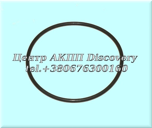 [315263JX3A] O-Ring Cover Outer Filter JF015 (OEM)