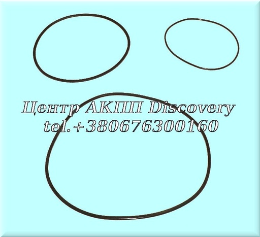 [142339K] O-Ring Kit Low/Reverse Brake R5/V5A51 (Transtar)