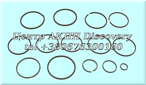 [137175] Sealing Ring Kit A440/A442 1986-up (Transtar)