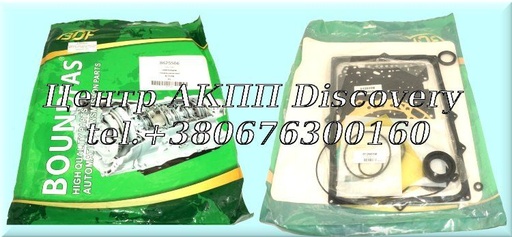 [229002A] Комплект Ущільнень BTR M78 (Boundfas)