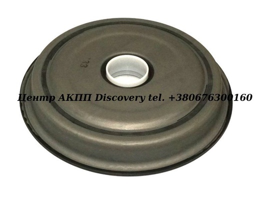 [D308070B] SEAL/COVER, VW02E FRONT 03-UP BONDED (OEM)